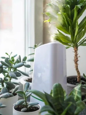 Air Purifier Allergy Test: Does It Eliminate 99.97% of Allergens? - Cover Image