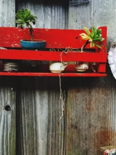 The Best Gifts for Gardeners: Essential Tools, Seeds & Accessories - Cover Image
