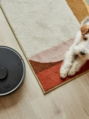 Best Robot Vacuums for Pet Owners in 2025: A Buying Guide - Cover Image
