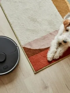 Best Robot Vacuums for Pet Owners in 2025: A Buying Guide - Cover Image