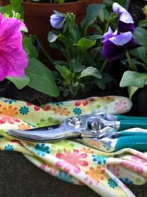 Ultimate Gift Guide for Gardeners: Tools, Seeds & Accessories - Cover Image