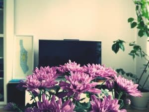 8K TVs in 2025: Are They Worth the Hype? A Detailed Review - Cover Image