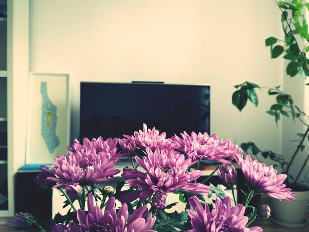8K TVs in 2025: Are They Worth the Hype? A Detailed Review