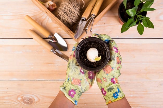 A person's hands planting a small tree seedling in fertile soil, with gardening gloves on. The background shows a lush green forest, emphasizing the concept of reforestation and environmental conservation.