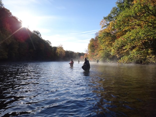 A panoramic view of a group of kayakers paddling down a serene river surrounded by lush greenery. The kayakers are smiling and paddling in unison, portraying a sense of teamwork and adventure in nature.