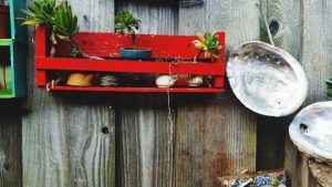 The Best Gifts for Gardeners: Essential Tools, Seeds & Accessories - Cover Image