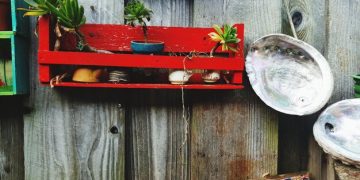 The Best Gifts for Gardeners: Essential Tools, Seeds & Accessories - Cover Image