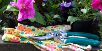 Ultimate Gift Guide for Gardeners: Tools, Seeds & Accessories - Cover Image