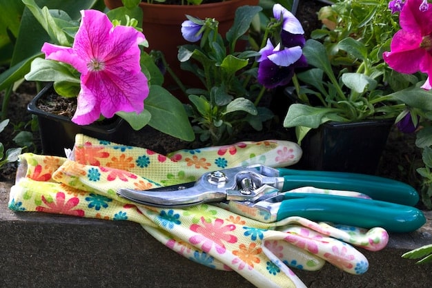 Ultimate Gift Guide for Gardeners: Tools, Seeds & Accessories